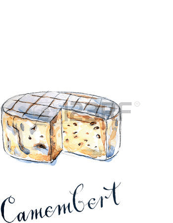 50749971-camembert-cheese-hand-drawn-watercolor-vector-illustration